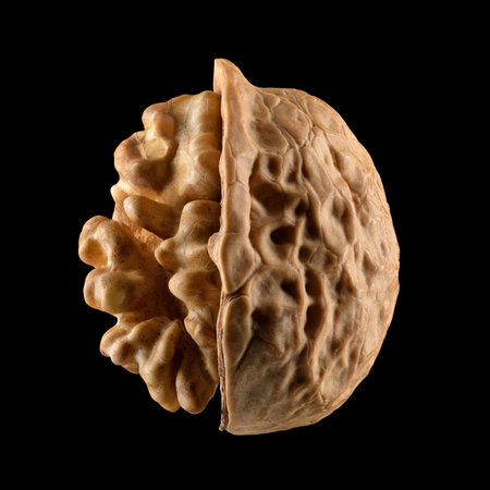 Half-peeled walnut showing the kernel of a nut isolated on dark black background.の写真素材