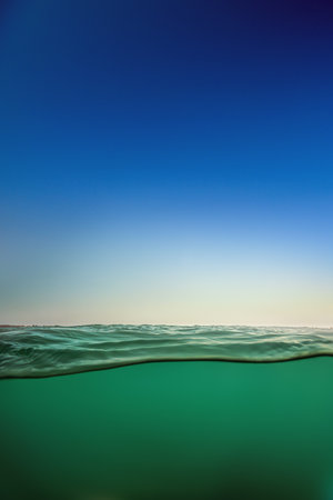 A split view of green sea or ocean water surface, underwater and clear sky.の写真素材