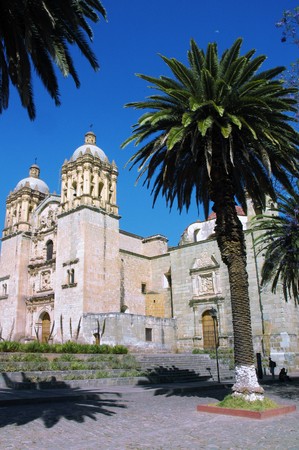 Cathedral with palms in Oaxaca city in Mexicoの写真素材