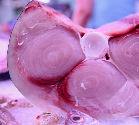 A piece of fish meat in the window on the market