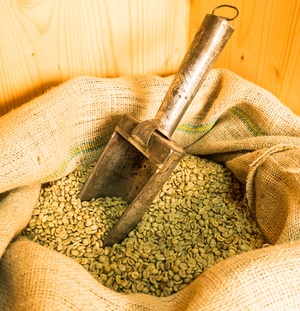 Some green coffee beans located in a bagの写真素材