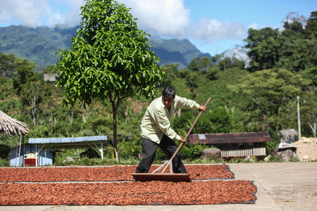 HUAYHUANTILLO, PERU - JUNE 21: A view of a man who adjusts collection point in Huayhuantillo village near Tingo Maria in Peru, 2011.のeditorial素材