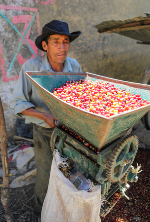 PIURA, PERU - JUNE 28: A view of a machine for coffee cherries processing operated by Peruvian guy near the city of Piura, region called Jijili. In the north of Peru, 2011.のeditorial素材