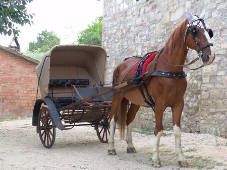 horse with chariotの写真素材
