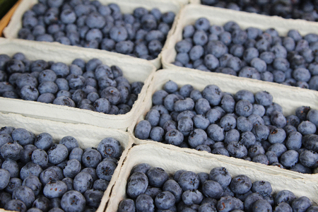 Blueberry background. Ripe and juicy fresh picked blueberries closeupの写真素材