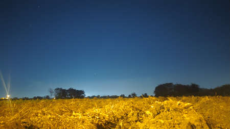 Night sky in a garden.
Beautiful blue sky at night with long exposure.の写真素材