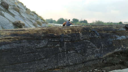 The wood is rotten on fire with 2 people who look faintly. 
Burnt scar wood backgroundの写真素材
