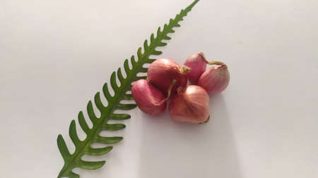 Organic garlic, fresh garlic, asia garlic.の写真素材