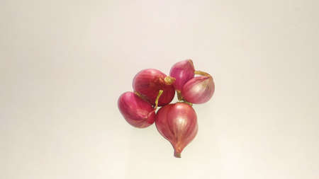 Organic garlic, fresh garlic, asia garlic.の写真素材