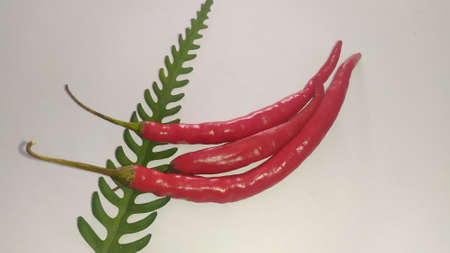 Organic garlic, fresh garlic, asia garlic.の写真素材