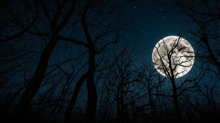 Full moon behind the trees in the forest at night. Halloween backgroundの素材