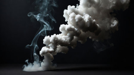 Abstract smoke cloud on a black background.の素材