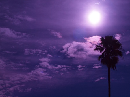 Violet skyの写真素材