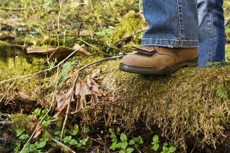 Stepping on a downed log in a forest setting