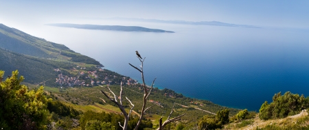 Hvar island, Croatia, popular touristic destinationの写真素材