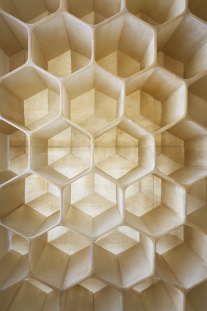 honeycomb as the perfect backdrop