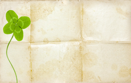 clover symbol on old background with empty paperの写真素材