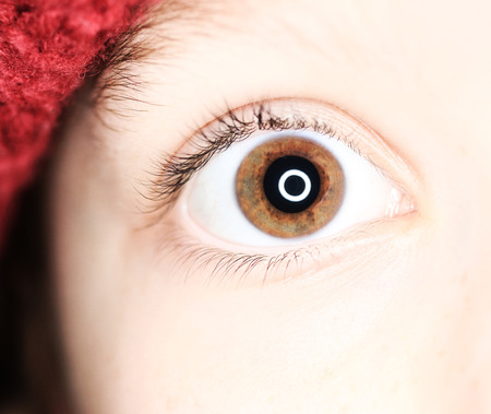 brown eye looking into the cameraの写真素材