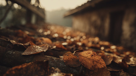 Macro shot of yellow autumn leaves scattered across a roof, with an old wooden house visible in the background, bathed in soft tones and warm sunlightの素材