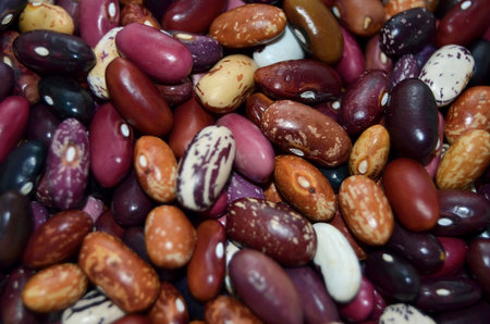 Close-up of vibrant mixed beans with rich colors and patterns, showing natural texture and healthy food varietyの写真素材