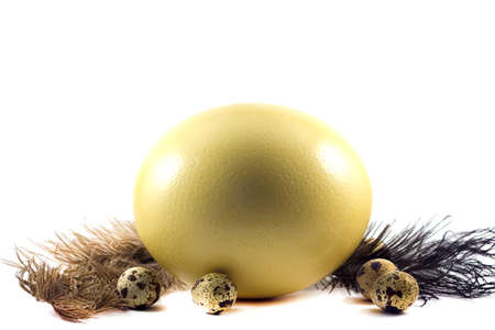 Large Ostrich eggs in a basketの写真素材