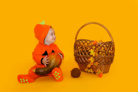 Child in pumpkin suit on yellow background with pumpkinの写真素材