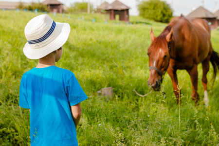 boy watches a horse in the countrysideの写真素材