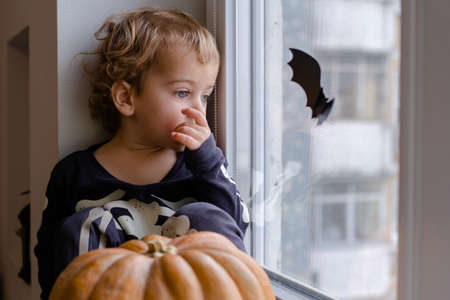 a little boy in skeleton costume and witch hat for Halloween is sitting at the window and laughitingの写真素材