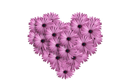 heart of flowers  isolated on white backgroundの写真素材