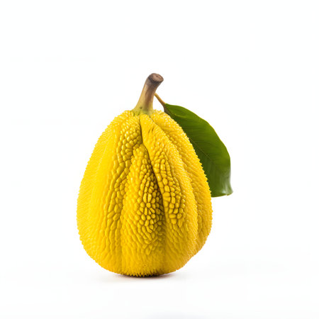 Gac fruit, Baby Jackfruit or Cochinchin Gourd on white backgroundの素材