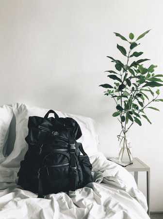 Black backpack on bed with green plant on wall background. Travel conceptの素材