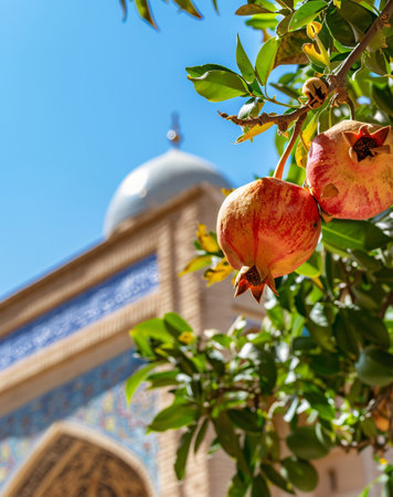 Pomegranate fruit on a tree against the background of the mosqueの素材