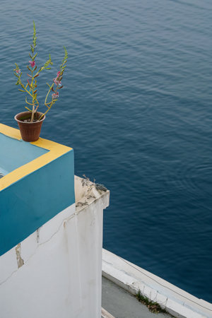 Flowers in a pot on the background of the sea, Greeceの素材