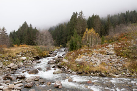 Autumn landscape with a mountain river in the Altai Mountains.の写真素材