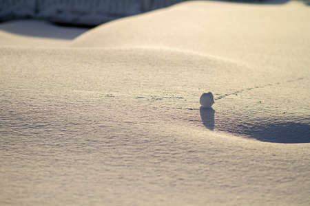 peaceful snow landscapes