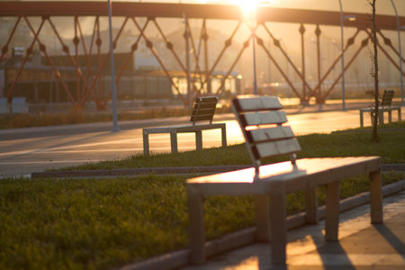 Two wooden benches in the park on a background of the setting sunの写真素材