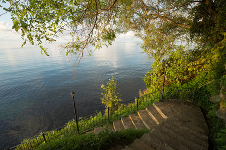 A vertical shot of a stone staircase leading to the sea under a treeの写真素材