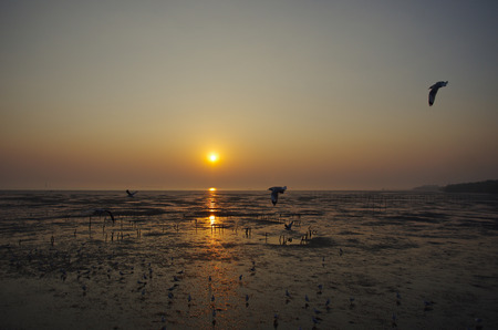 the evening skyの写真素材