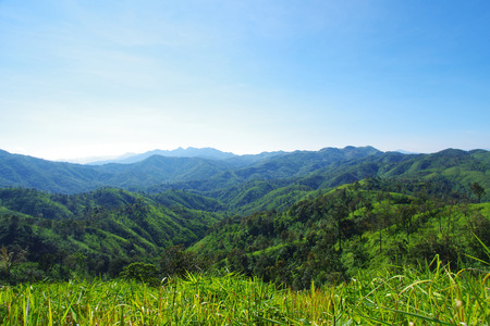 on the mountainの写真素材