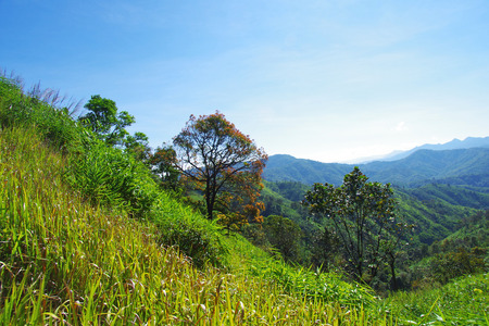 on the mountainの写真素材