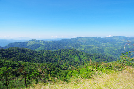 on the mountainの写真素材
