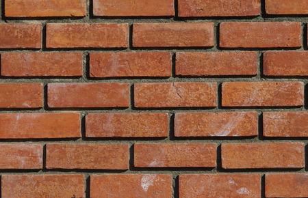 the red brick on textureの写真素材