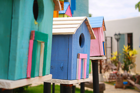bird house colorfulの写真素材