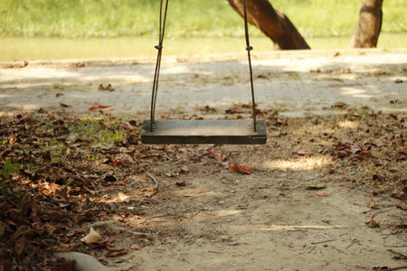 Swing itの写真素材