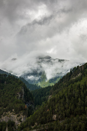 Mountains and forestの写真素材