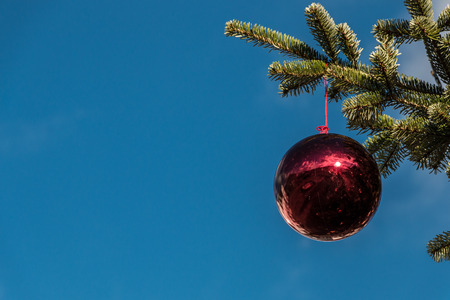 A Christmas tree and shining Christmas tree ballsの写真素材