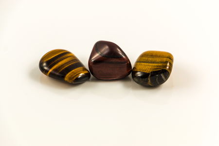 Shining tiger eyes and white backgroundの写真素材