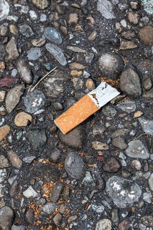 Pollution by cigarette stub thrown on the groundの写真素材