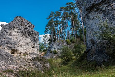 Sea of rocks with huge rocks and high treesの写真素材