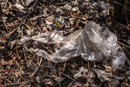 Plastic waste thrown away in the middle of natureの写真素材